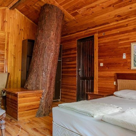 Kadir'S Top Tree Houses Olympos Exterior photo