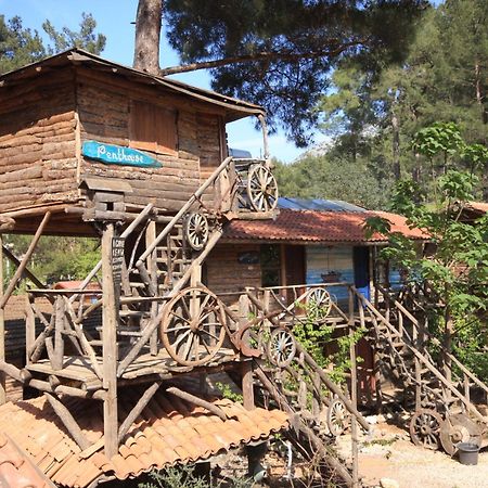 Kadir'S Top Tree Houses Olympos Exterior photo