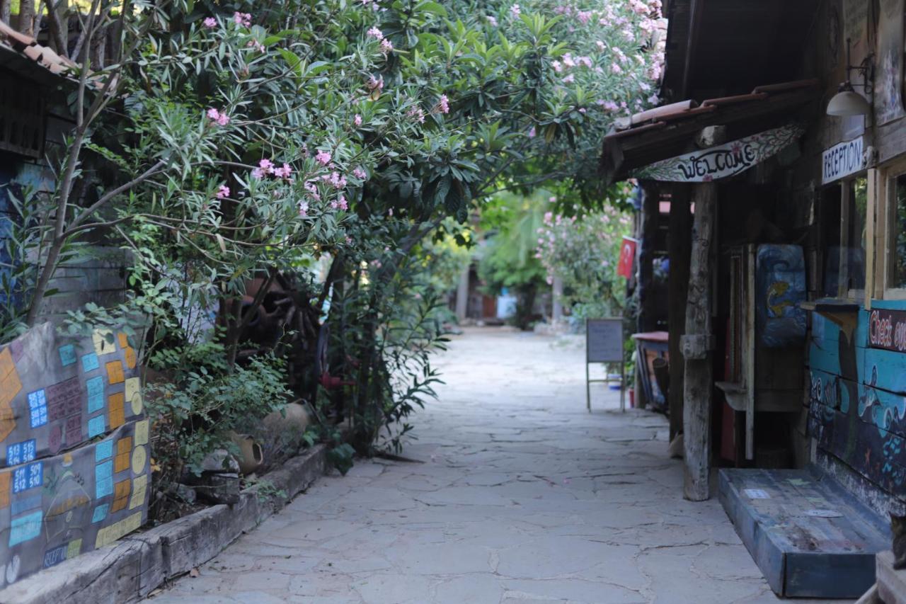 Kadir'S Top Tree Houses Olympos Exterior photo