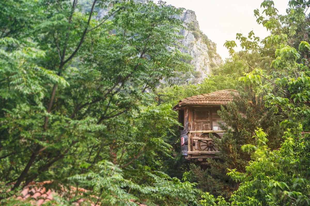 Kadir'S Top Tree Houses Olympos Exterior photo
